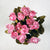Pink Mini Rose Silk Flowers 0.5''