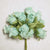 Seafoam Green Poly Rose Silk Flowers 0.75'' 144pcs