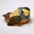 Blue Mushroom Bird