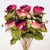 fuchsia silk flowers
