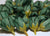 Green Poly Silk Rose Bud Heads 120pcs