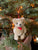 Jointed Plush Teddy Bear 4'' 6pcs