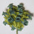 Kelly Green Poly Rose Silk Flowers 0.75'' 144pcs