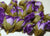 Lavender Poly Silk Rose Bud Heads 120pcs