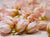 Pink Poly Silk Rose Bud Heads 120pcs