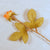 Peach Rose Silk Flower