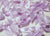 Miniature Lavender Satin Ribbon Bows with Bead 1'' 144pcs