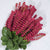 veronica flowers artificial red