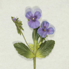 Lavender Pansy Silk Flowers