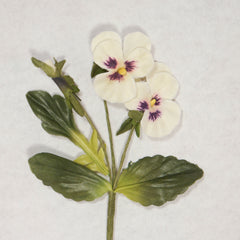 White Pansy Silk Flowers